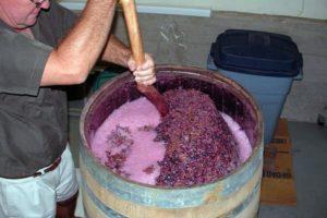 8 einfache Rezepte für die Herstellung von Wein aus Trauben zu Hause