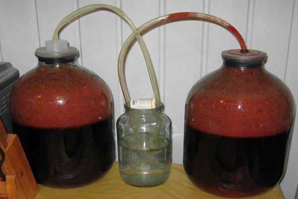 fermentacija u limenkama