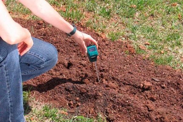 soil check