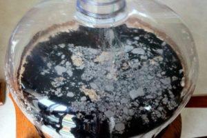 Causes of mold on homemade wine and what to do with white film, how to prevent spoilage
