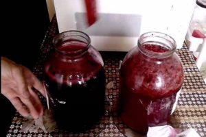 4 geriausi receptai vaisių ir uogų vynui gaminti namuose
