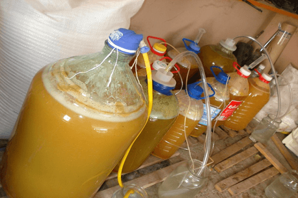fermentation of liquid