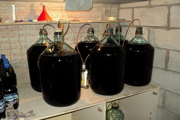 fermentació del vi