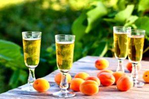 12 vienkāršas, pakāpeniskas pašmāju aprikožu vīna receptes