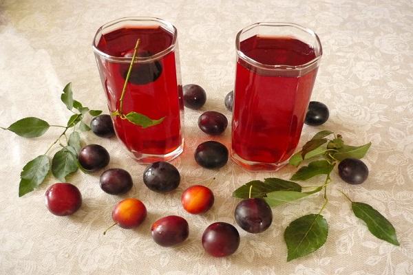 vyšnių slyvų vynas