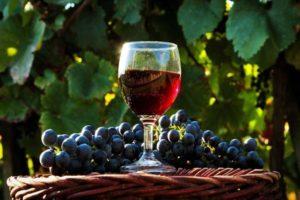 Geriausias receptas gaminant laukinių vynuogių vyną namuose