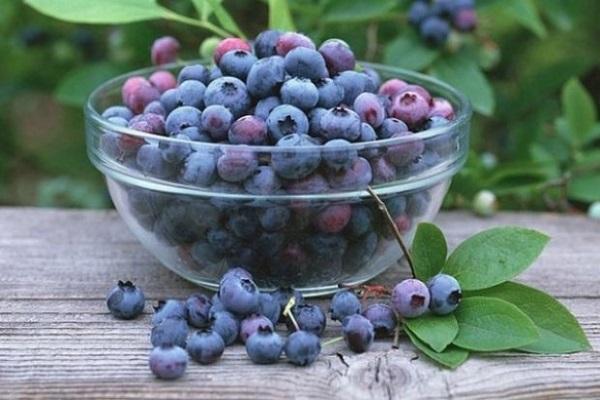 irgi berries