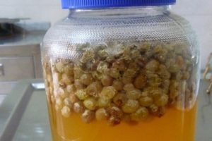 8 madaling gawang bahay na mga recipe ng alak