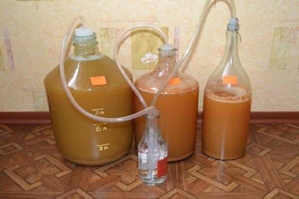 proceso de fermentacion