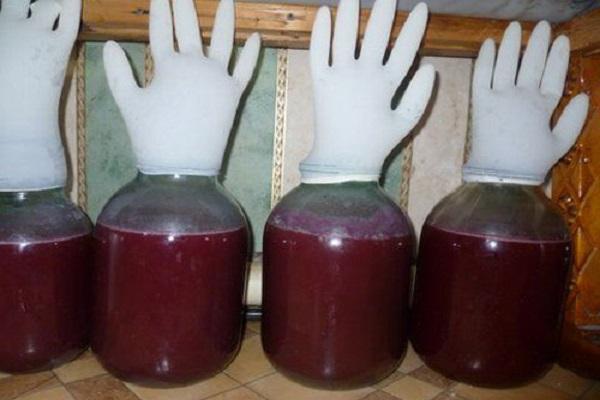 fermentation liquids
