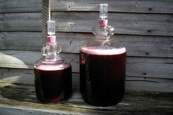vyno fermentacija