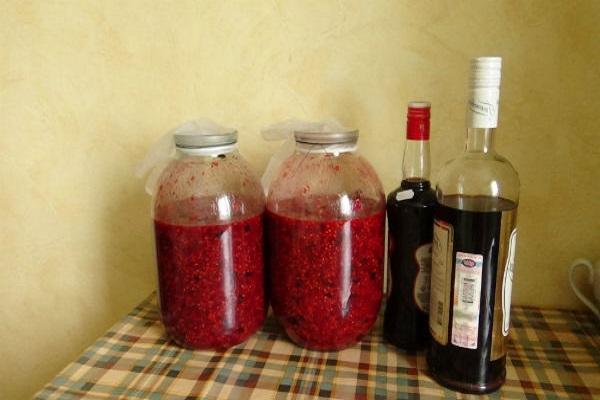 fermentation of wine