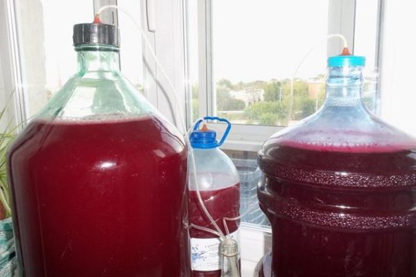 bottles with cranberries