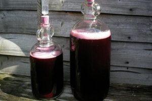 สูตร 6 อันดับแรกสำหรับการทำไวน์จากน้ำองุ่นและวิธีทำที่บ้าน