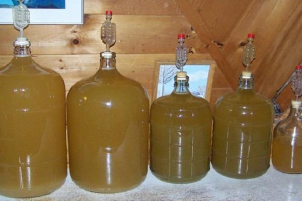 sulas fermentācija
