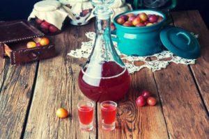 TOP 13 step-by-step recipes for making plum wine at home