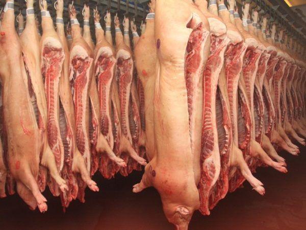 принос свињског меса