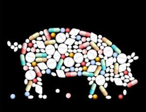ماهي الأدوية والفيتامينات والهرمونات التي تعطى للنمو السريع للخنازير