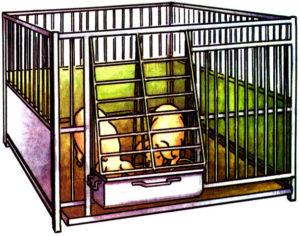Instructions de bricolage pour la fabrication de cages pour porcs, dimensions et dessins