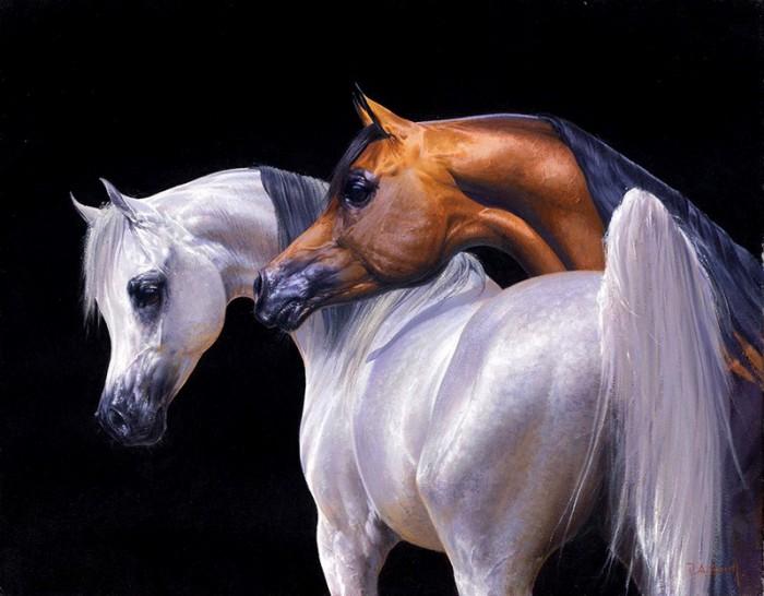 Arabisk häst