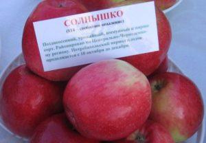 Descripció i característiques de la poma de Solnyshko, regles de plantació i cura