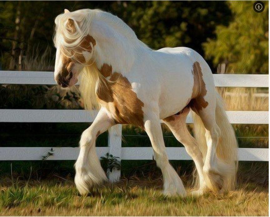 tinker horse