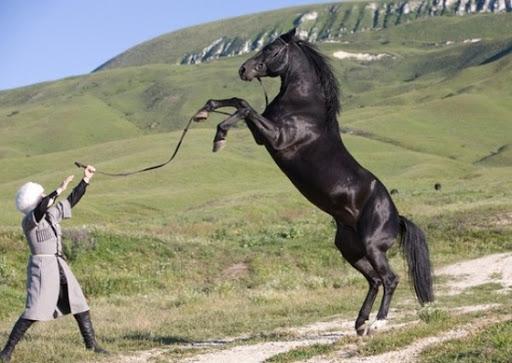 muntar a cavall Kabardinskaya