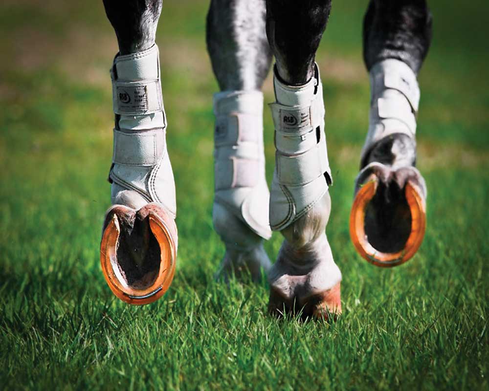jambes de cheval