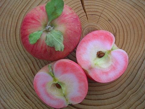 apple pink na perlas