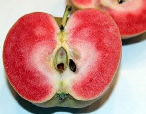 Beskrivning och egenskaper för Pink Pearl-äpplen, regler för plantering och vård