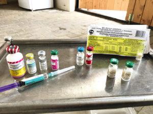 Instructie voor het vaccin tegen rhinopneumonie bij paarden en de samenstelling ervan