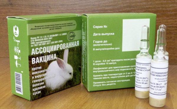 vaccino associato per conigli