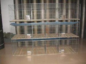 Types and rules for making DIY mesh cages for rabbits