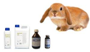 Quelles vitamines sont nécessaires pour les lapins et que contiennent-elles, TOP 6 des médicaments