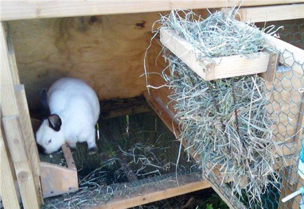 hanger voor konijnen