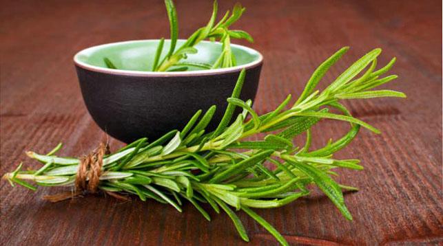 rosemary benefits and harms