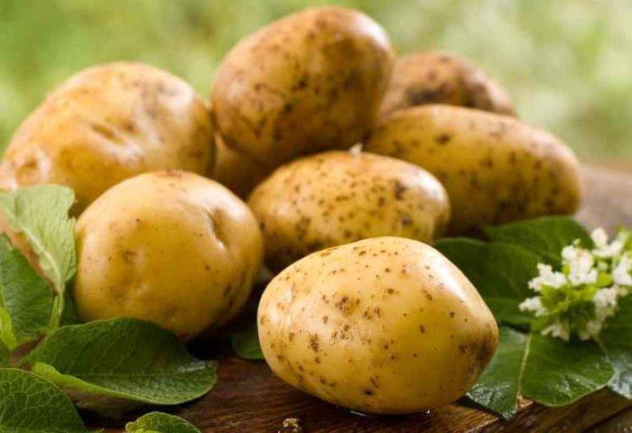 patatas crudas