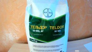 Návod na použitie fungicídu Teldor, znášanlivosti a analógov