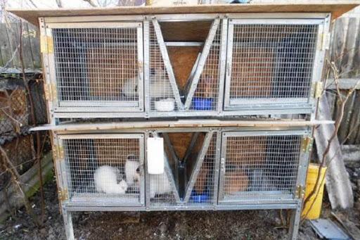 Käfige für Kaninchen Zolotukhina Zeichnungen mit Abmessungen