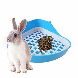 Comment entraîner votre lapin à utiliser la litière à la maison et ce qu'il ne faut pas faire