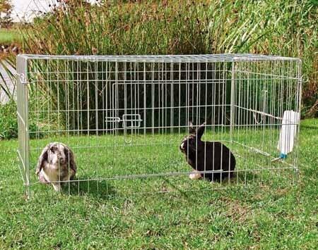 recinto per conigli
