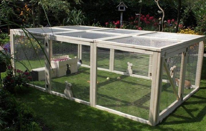 Tự tay xây dựng chuồng chim cho thỏ và chăn nuôi tại nhà