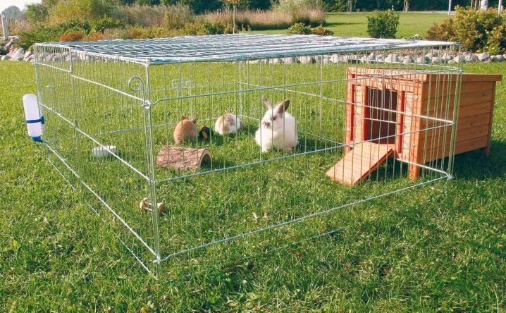 Evde tavşanlar ve üreme için bir büyük kuş kafesi yapımı