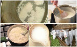 Por qué hervir la leche de cabra a veces cuaja y cómo evitarlo