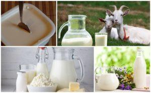 Ricette per preparare la panna acida al latte di capra a casa