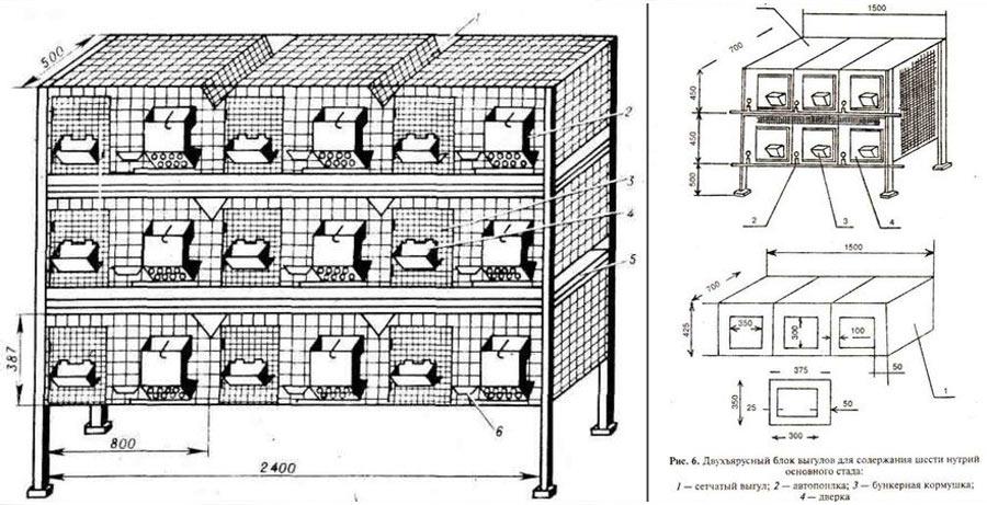 20 do-it-yourself drawings with the dimensions of rabbit cages and assembly video