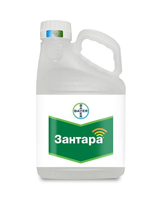 zantara fungicide instructions for use