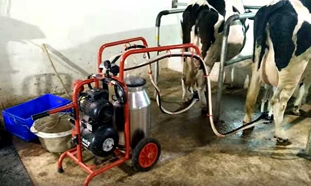 milking machine farmer