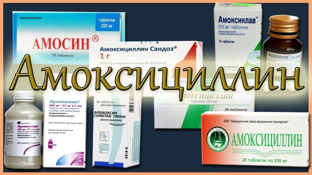 Instructions for use and composition of Amoxicillin for cattle, consumption rates