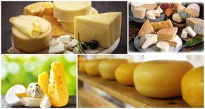 Top 4 tipi e nomi di formaggi di latte di pecora, benefici e rischi per il corpo